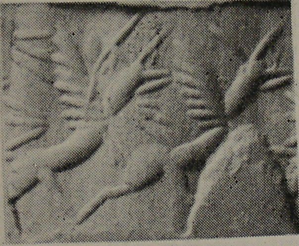 Two lion-griffins pursuing each other