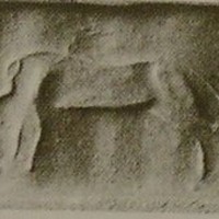 Striding lioness