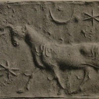 Bull striding towards tree