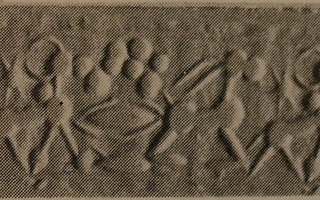 Zebu bull striding towards reclining wold goat (ibex)