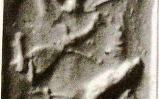 Spearman and dog (hound) fighting lion-dragon