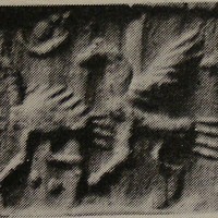 Griffin pursuing ostrich