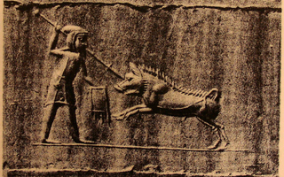 Median hunter (spearman) hunting boar