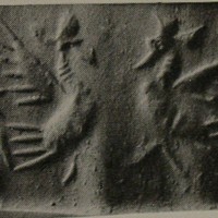 Two ostrich-like birds facing each other