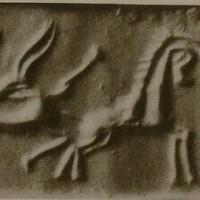 Bull pursuing gazelle (antelope)