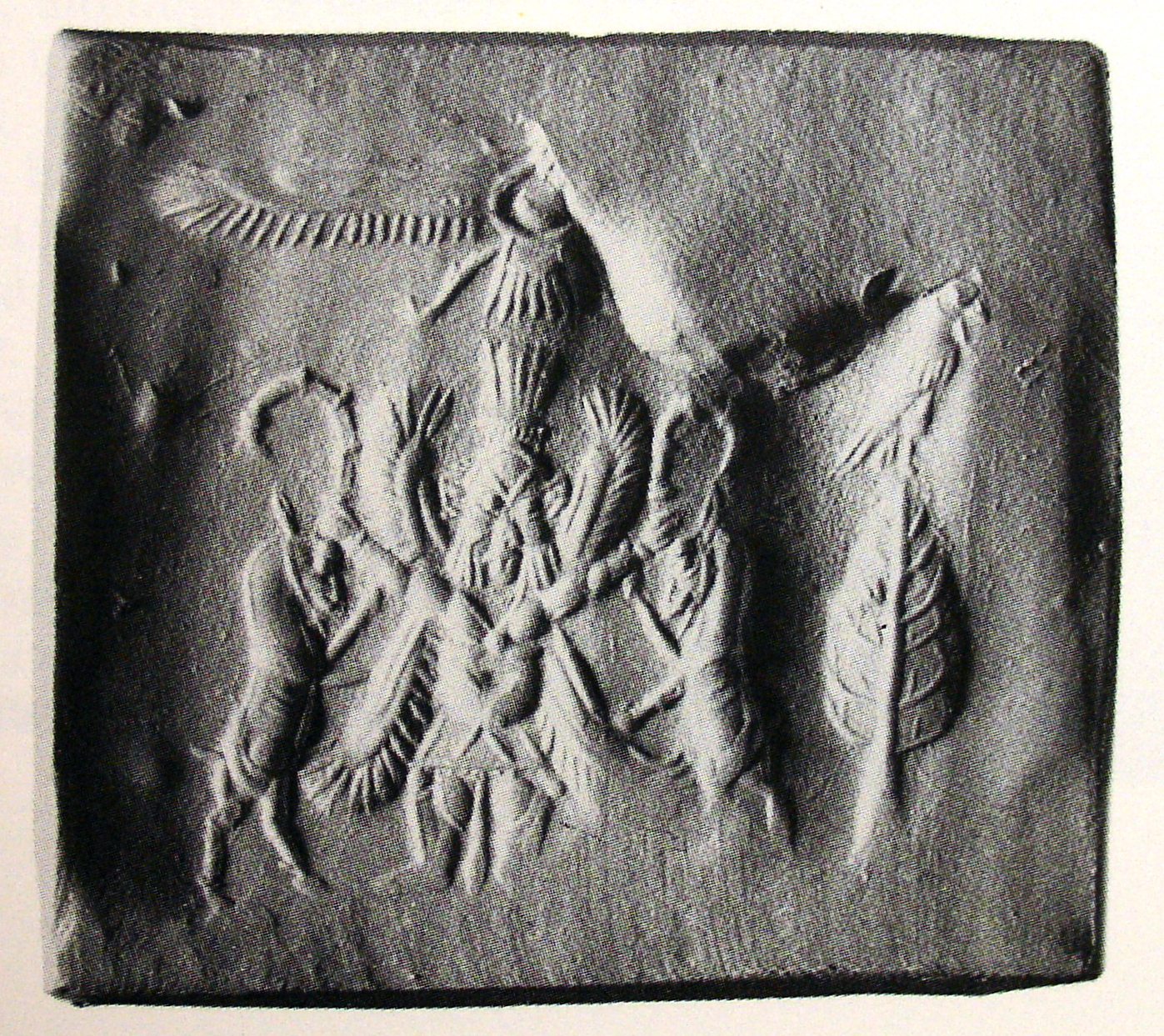 Bes grasping wild goat (ibex) on either side