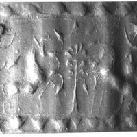 Two rampant bulls flanking stylised tree
