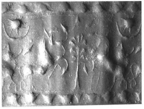 Two rampant bulls flanking stylised tree