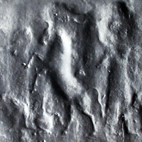 Hero fighting rampant bull over calf