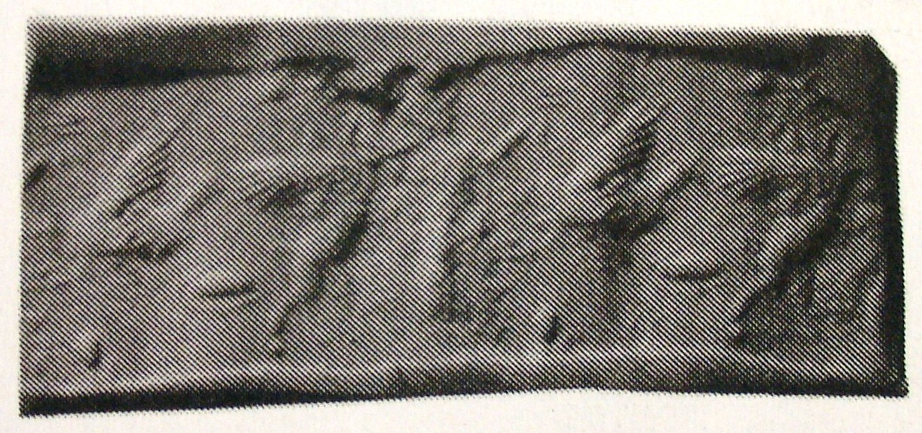 Hero grasping human-headed winged lion (shedu, sphinx) and ostrich